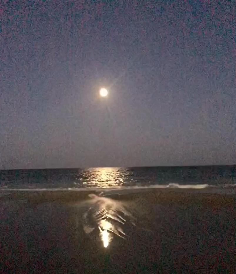 マートルビーチ 2501 S Ocean Blvd, 0811 - Ocean Front Sleeps 6ヴィラ エクステリア 写真